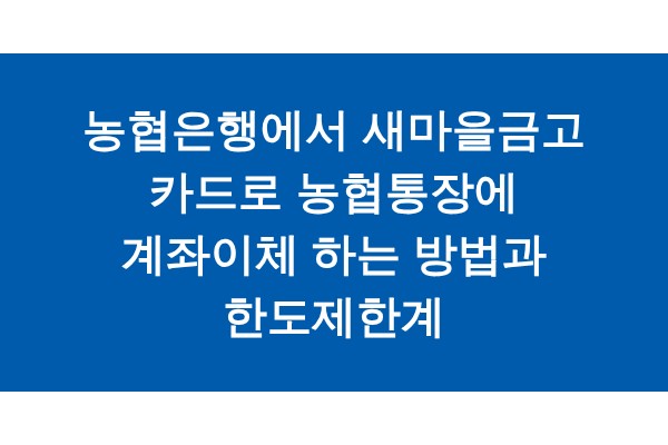 title_1771122411_6333