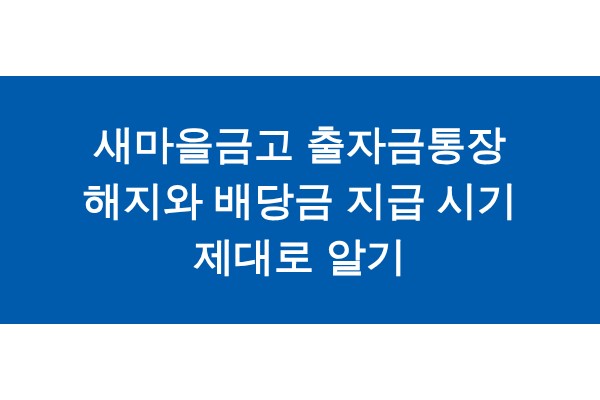 title_1772066772_1265