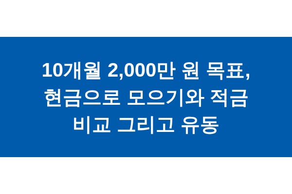 title_1772353299_5081